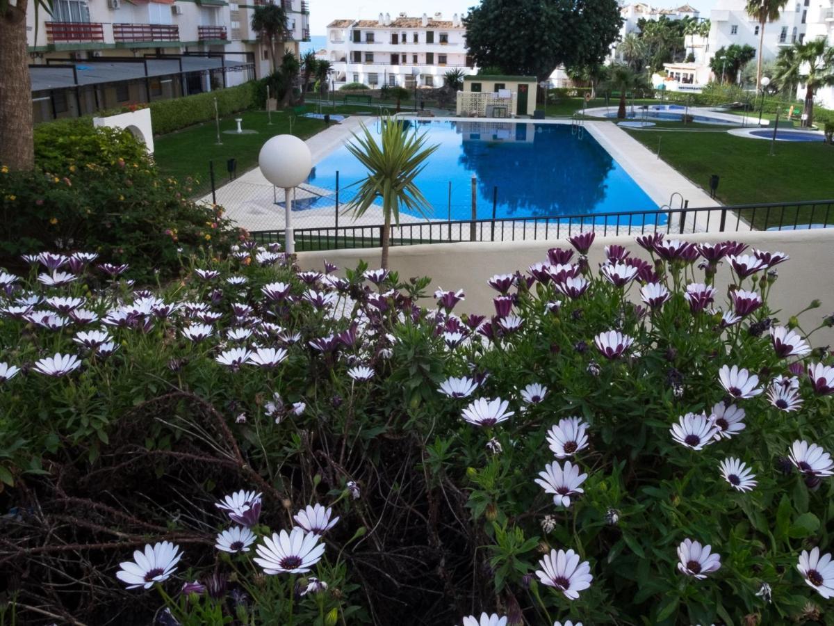 Acogedor Estudio Con Vista Al Mar Apartment